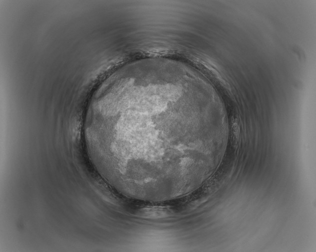 X0000113340499200910061001