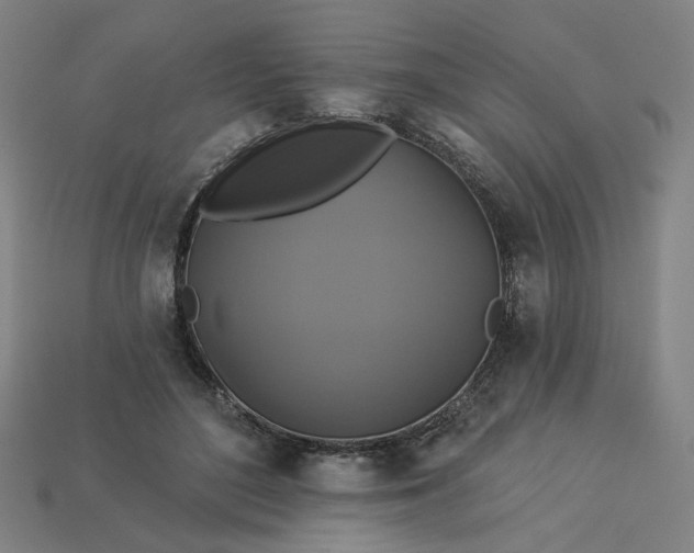 X0000113340500200910061001