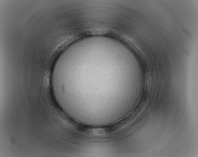 X0000113340501200910061001