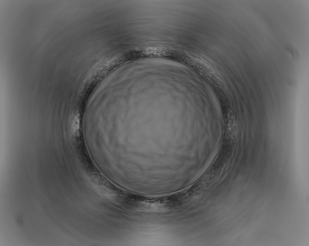 X0000113340502200910061001