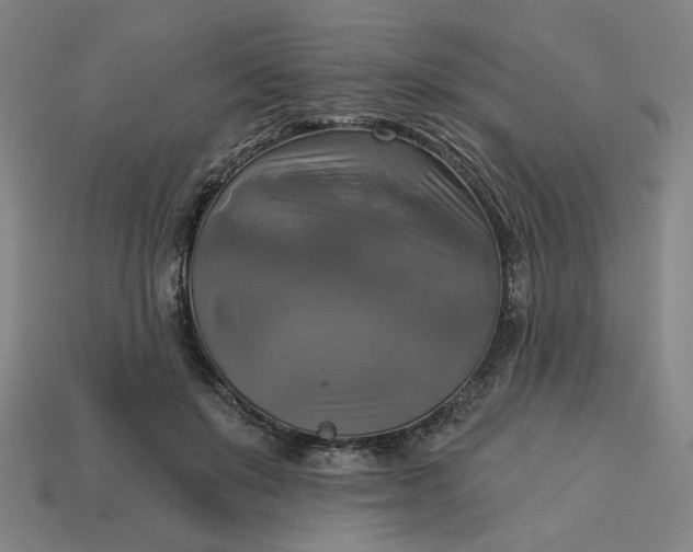 X0000113340503200910061001