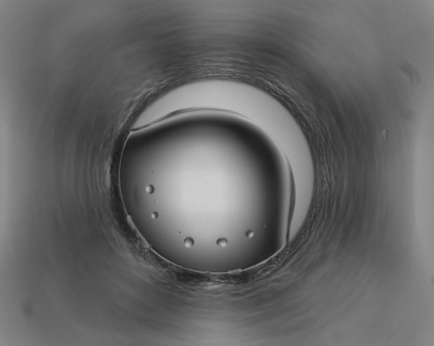 X0000113340504200910061001