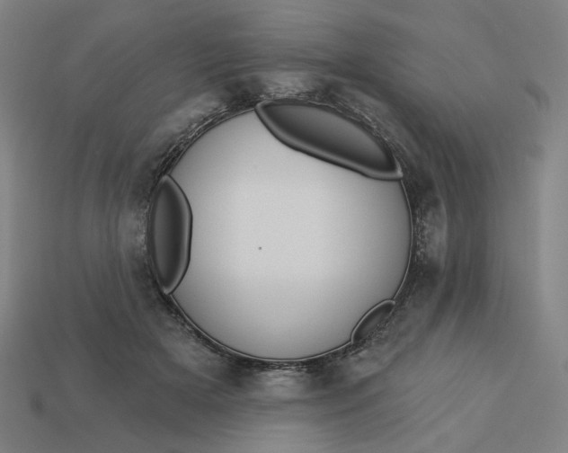 X0000113340505200910061001