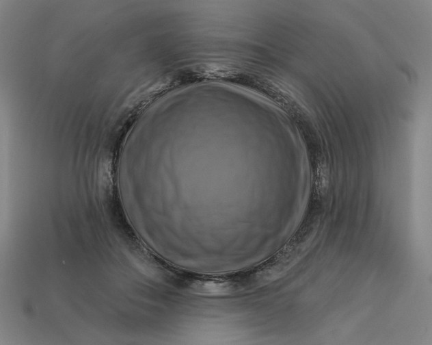 X0000113340506200910061001