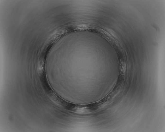 X0000113340507200910061001