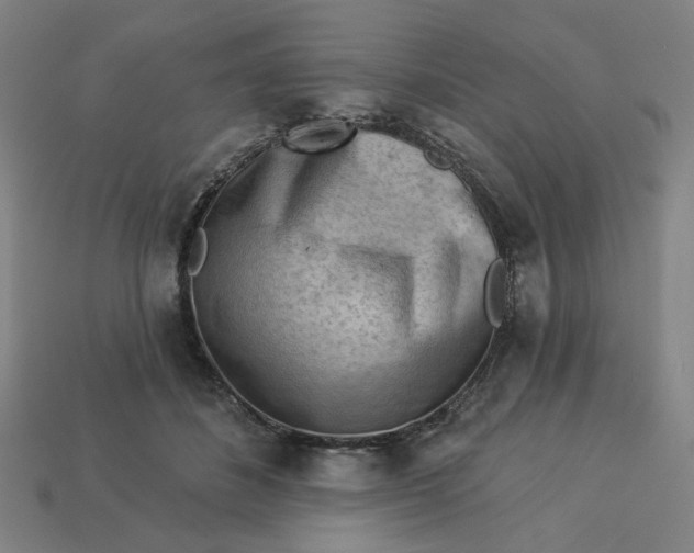 X0000113340508200910061001