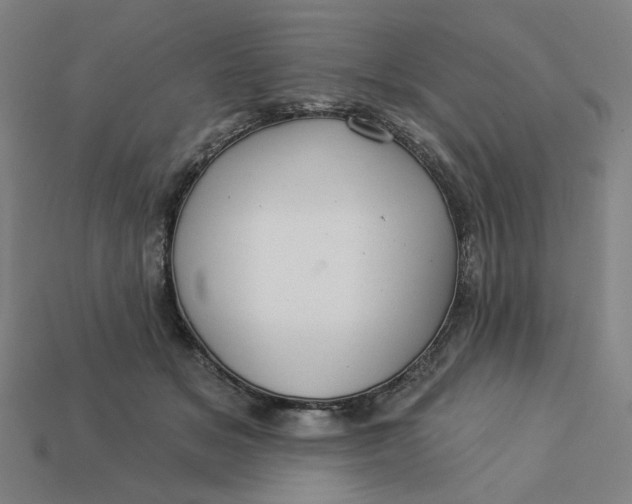 X0000113340509200910061001