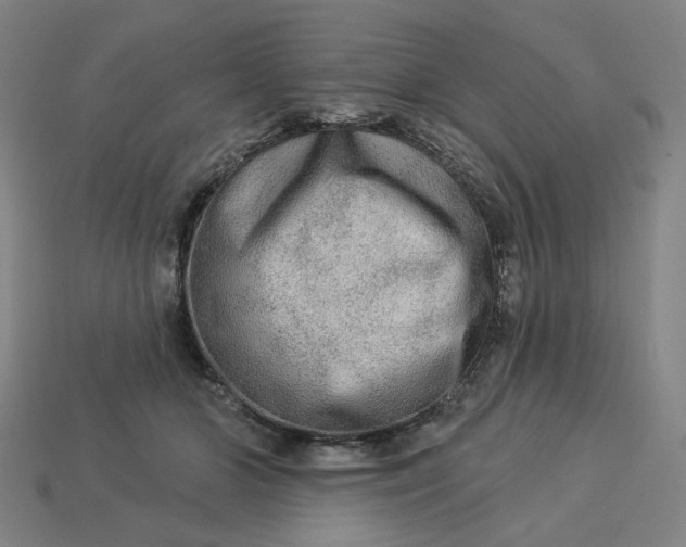 X0000113340510200910061001