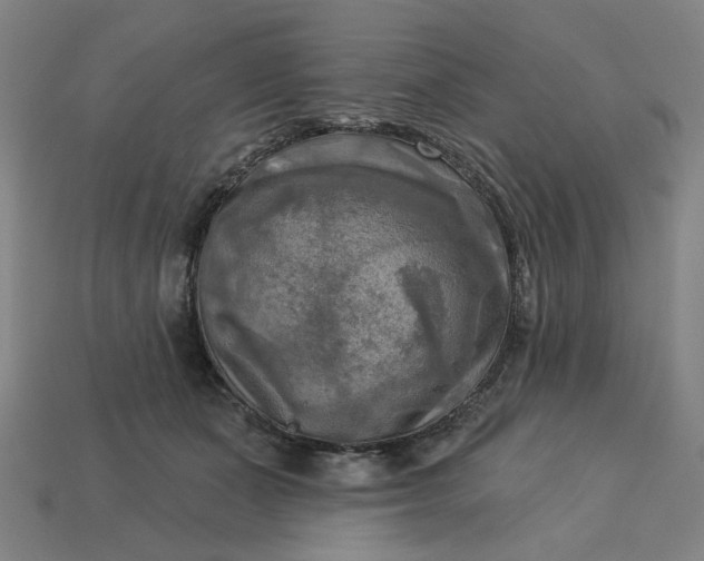 X0000113340511200910061001