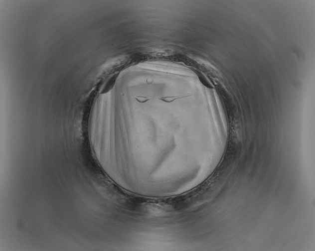 X0000113340512200910061001