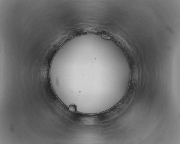 X0000113340513200910061001