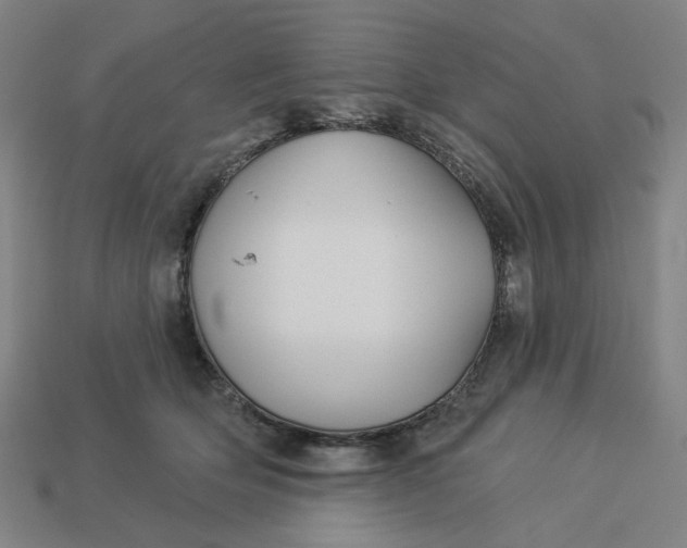 X0000113340514200910061001