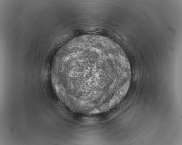 X0000113340515200910061001