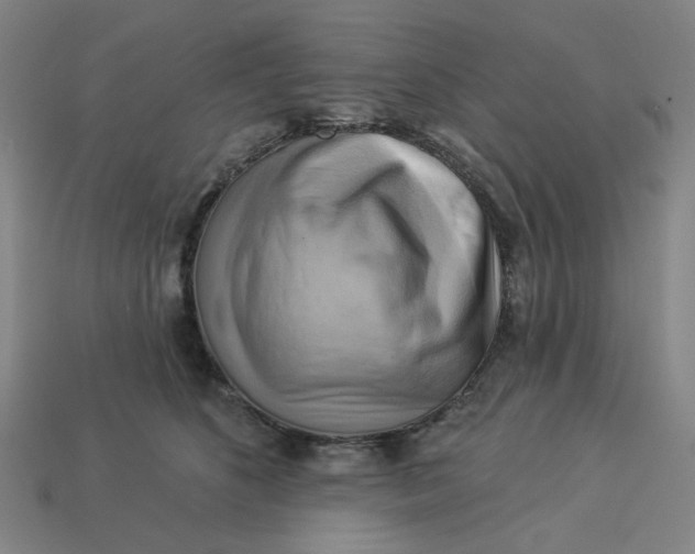 X0000113340516200910061001