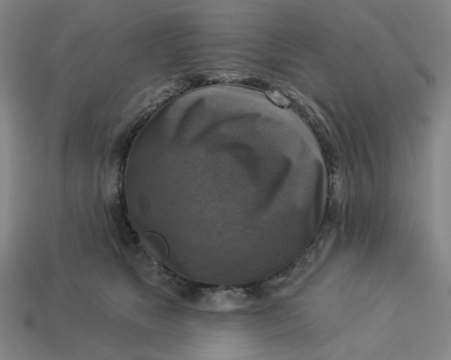 X0000113340517200910061000