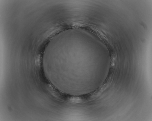 X0000113340519200910061000