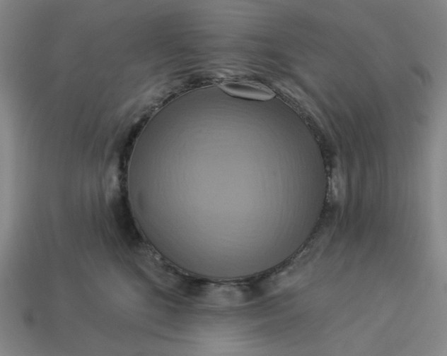 X0000113340520200910061000