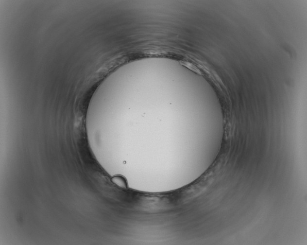 X0000113340521200910061000