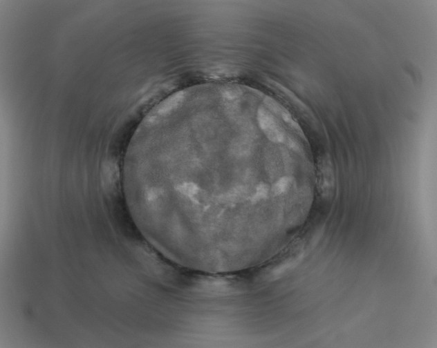 X0000113340523200910061000