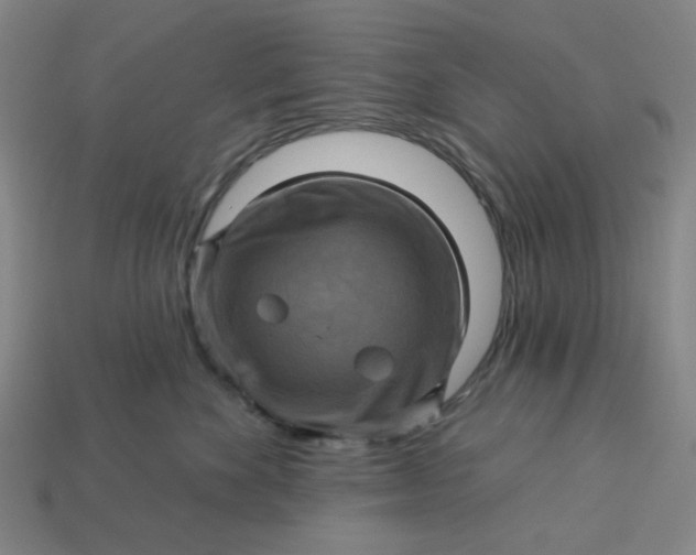 X0000113340524200910061000