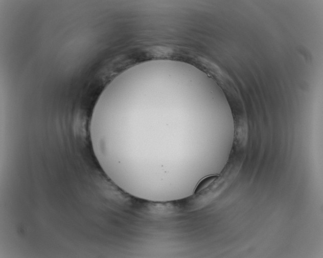 X0000113340525200910061000