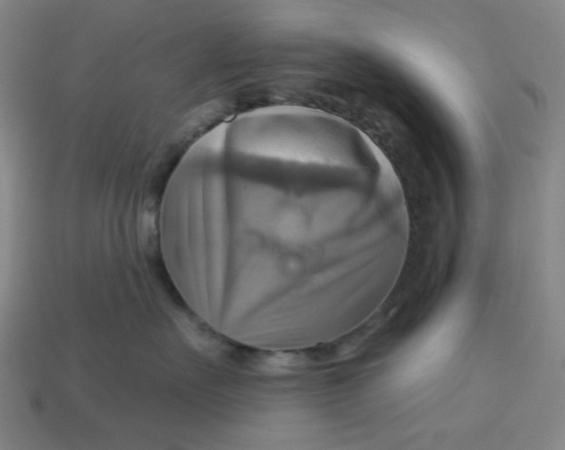 X0000113340527200910061000