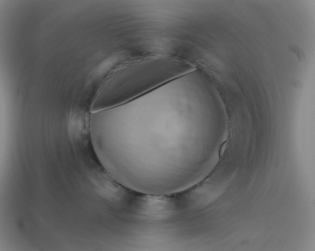 X0000113340528200910061000