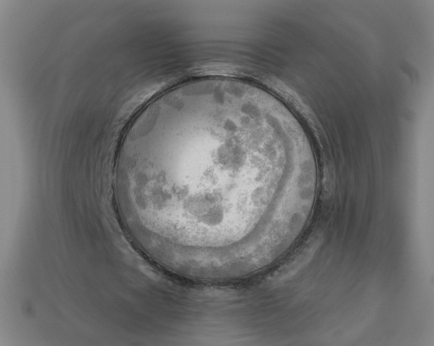 X0000113340529200910061000