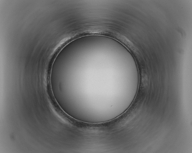 X0000113340530200910061000