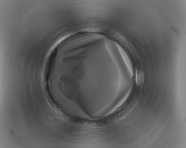 X0000113340531200910061000