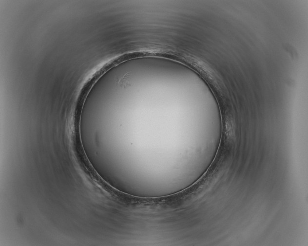 X0000113340532200910061000