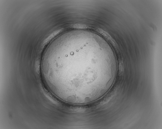 X0000113340533200910061000