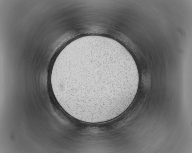 X0000113340534200910061000