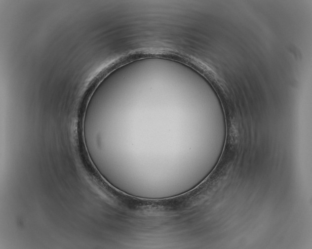 X0000113340535200910061000