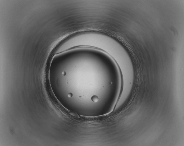 X0000113340536200910061000