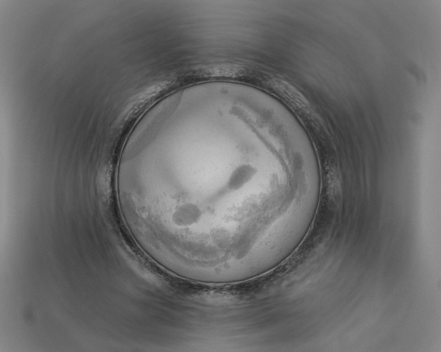 X0000113340537200910061000