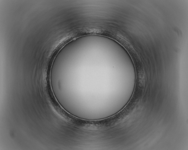 X0000113340538200910061000