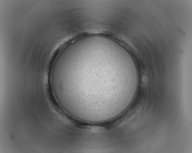 X0000113340539200910061000