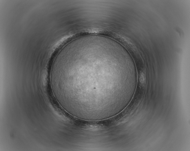 X0000113340540200910061000