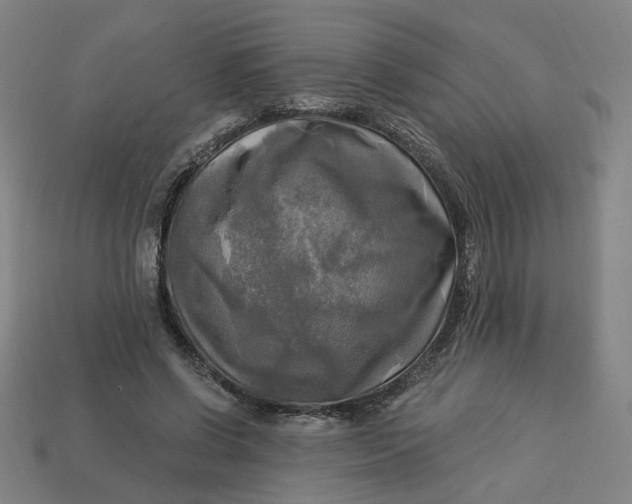 X0000113340542200910061000