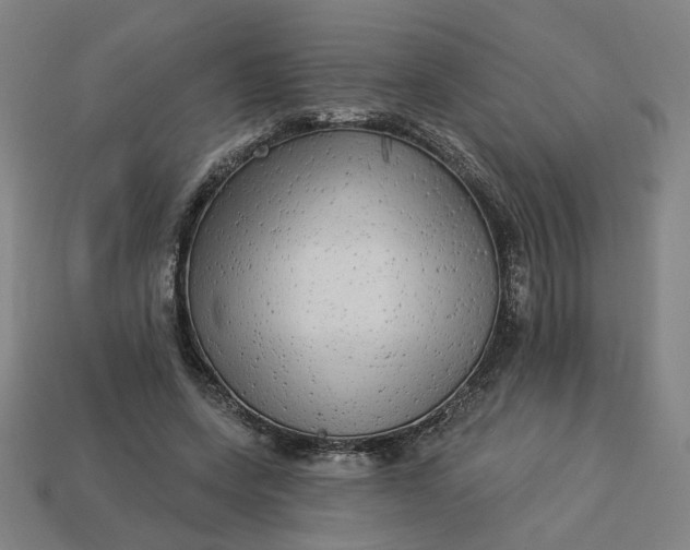 X0000113340543200910061000