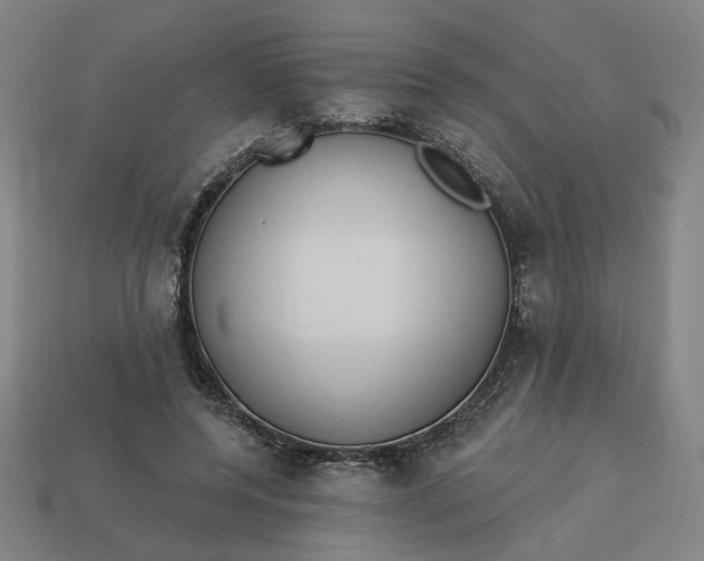 X0000113340544200910061000