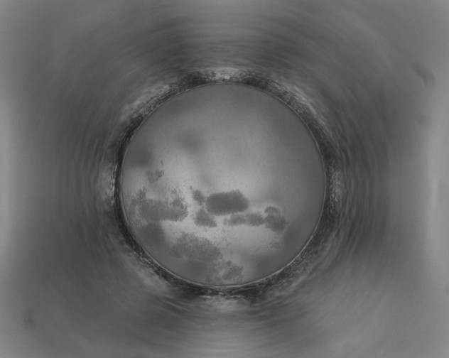 X0000113340545200910061000