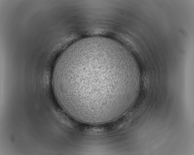 X0000113340546200910061000