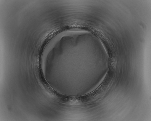 X0000113340547200910061000