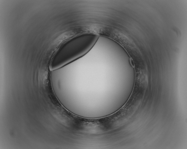 X0000113340548200910061000