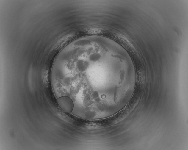 X0000113340549200910061000