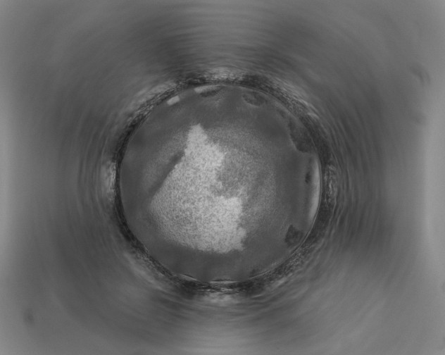 X0000113340550200910061000