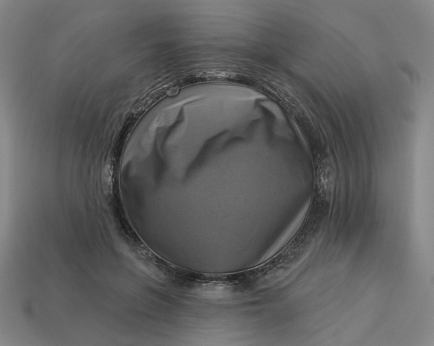 X0000113340551200910061000