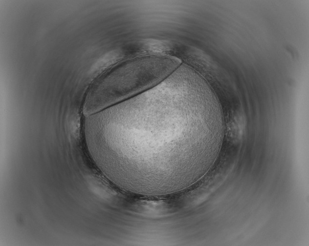 X0000113340552200910061000